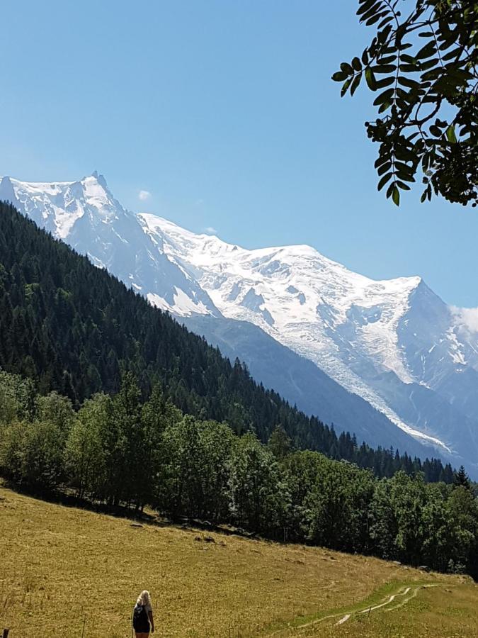 Appartement Typique,Chaleureux Et Pratique Chamonix Eksteriør bilde