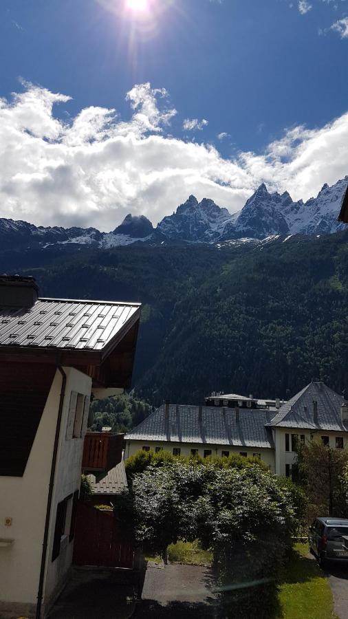 Appartement Typique,Chaleureux Et Pratique Chamonix Eksteriør bilde