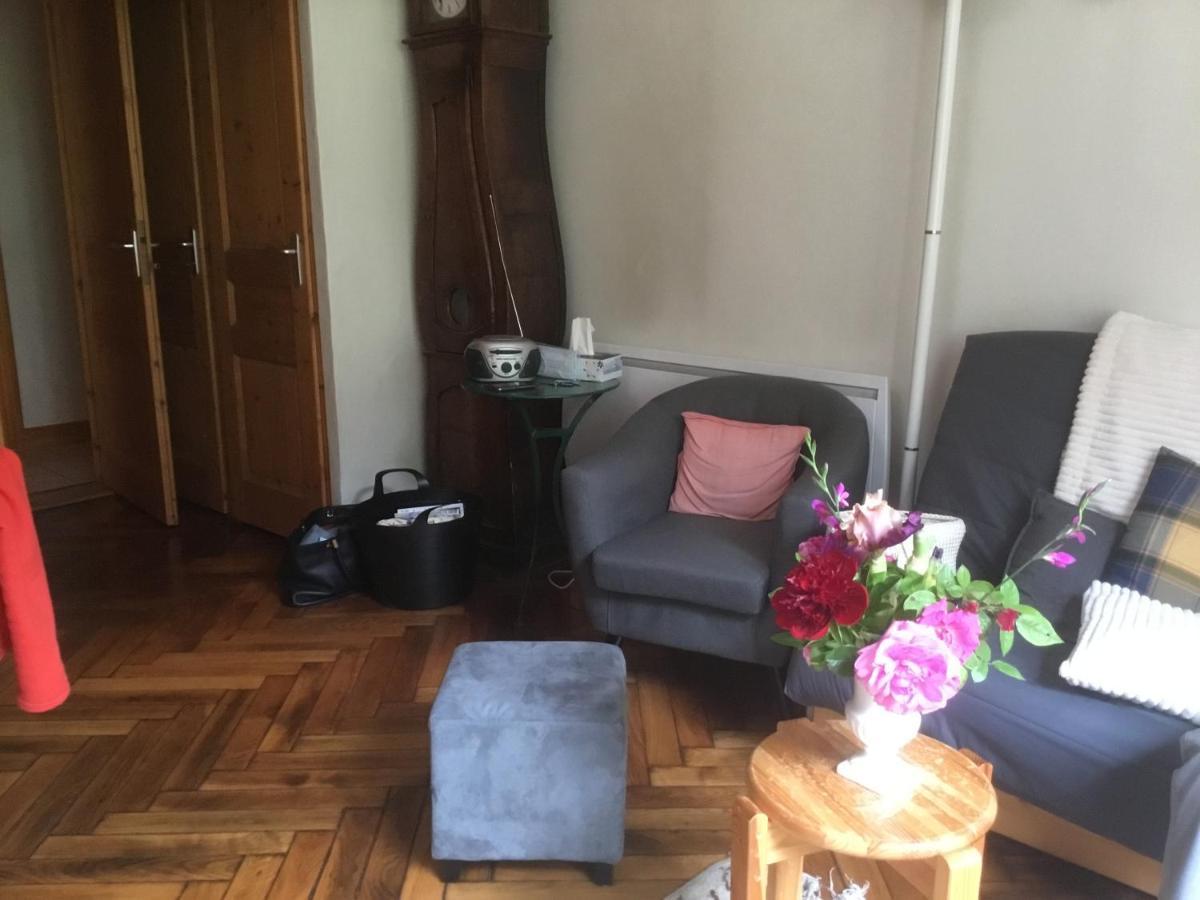 Appartement Typique,Chaleureux Et Pratique Chamonix Eksteriør bilde